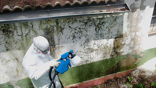 Trusted Mold Inspection service in Mine Hill, NJ - Cheap Mold Removal
